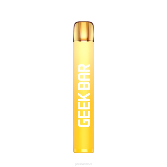 מלון פוג'י Geek Bar 024D199 - GEEK BAR shop e600 vape חד פעמי